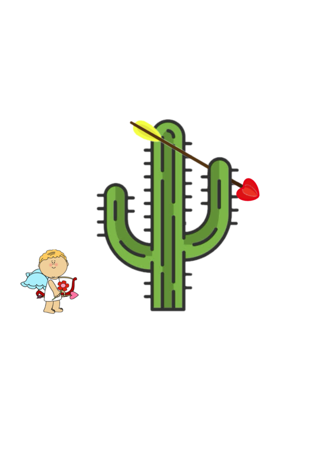 Cupid MIssed Again